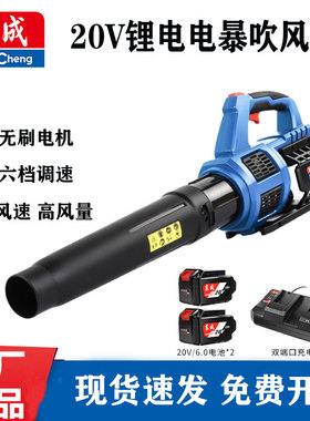 东成无刷锂电吹风机40171鼓风机暴风机大功率充电除尘器32吹风机