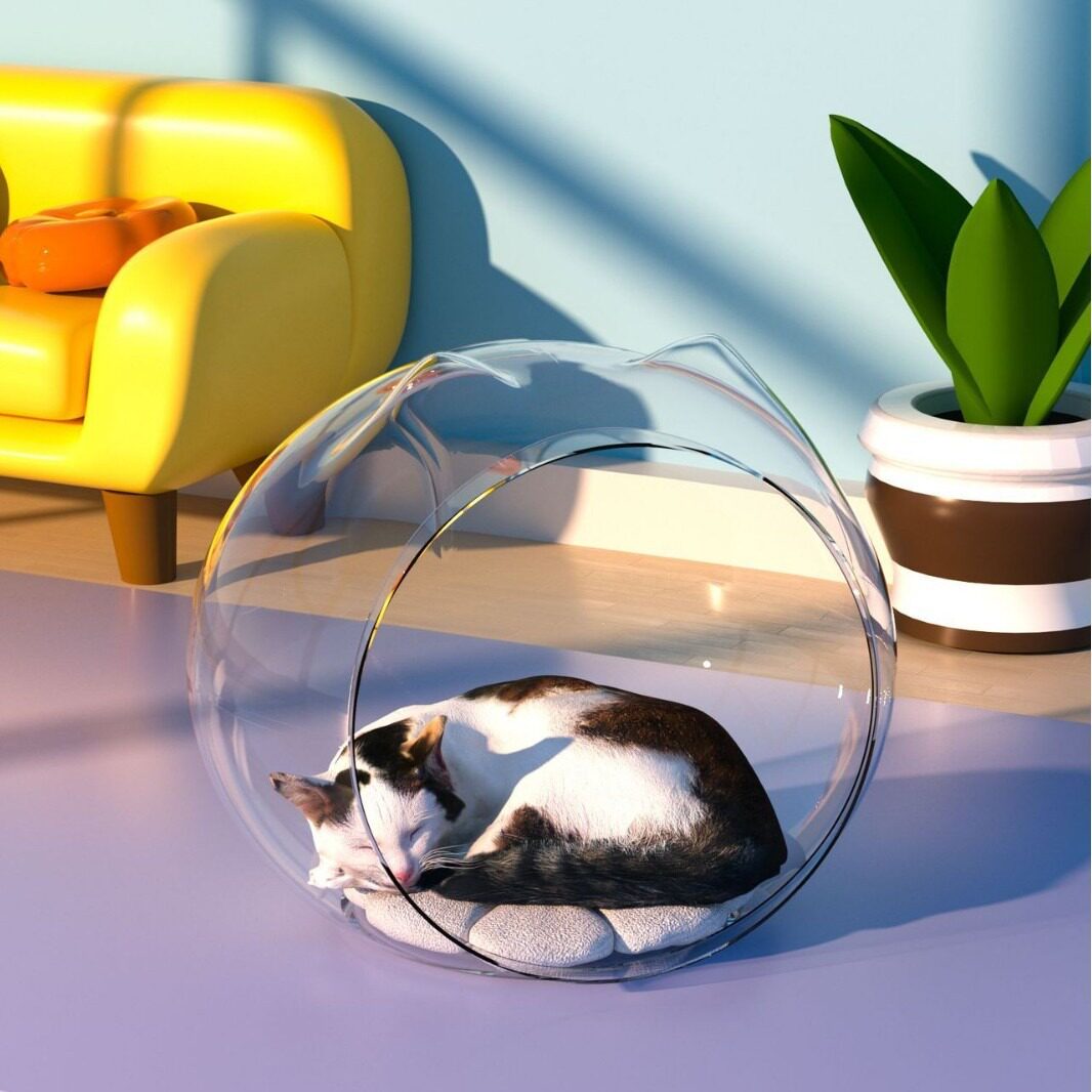 猫窝创意太空舱家居猫笼透明大空间半封闭透气四季通用塑料宠物窝