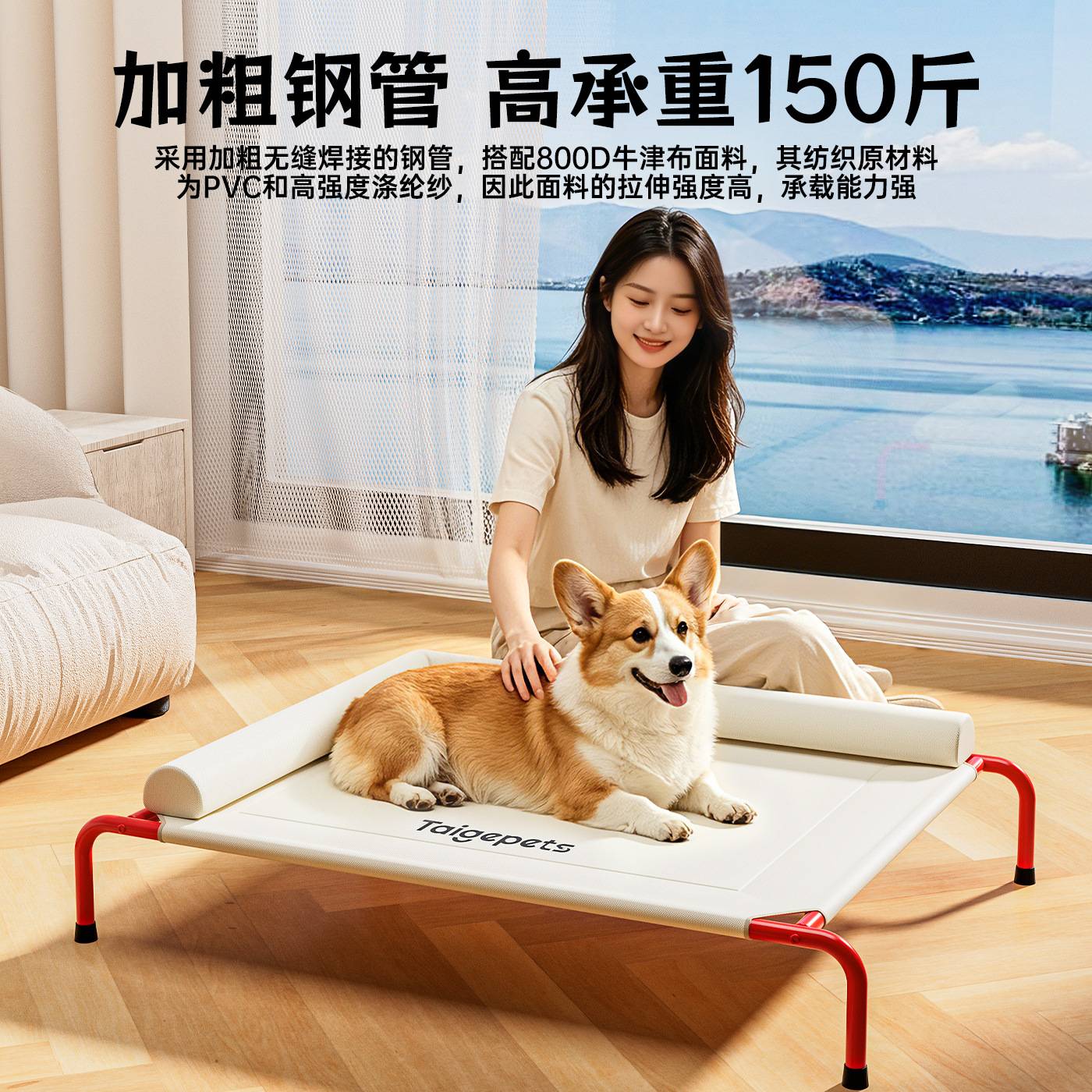 宠物行军床隔湿通风结实耐用四季通用网布透气耐抓耐磨狗狗沙发床