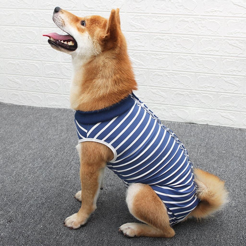 狗狗衣服新款宠物绝育手术服防舔