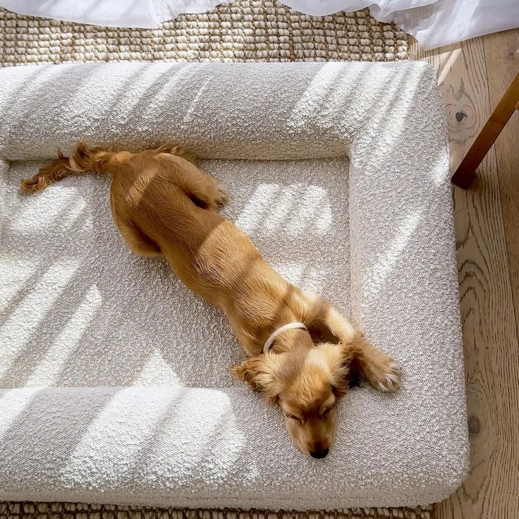宠物矩形床Rectangular bed 狗沙发床Pet sofa 宠物窝Pet kennels