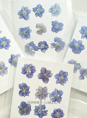 飞燕草天然紫色押花压花包真花植物标本水晶滴胶diy材料填充封入