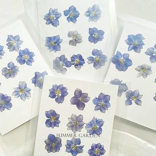 飞燕草天然紫色押花压花包真花植物标本水晶滴胶diy材料填充封入