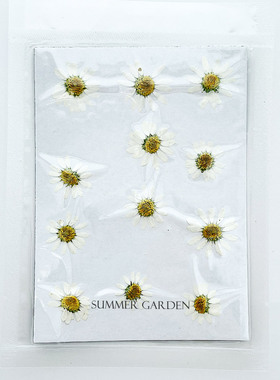Summer garden 晶菊干花押花压花包水晶滴胶diy材料填充封入物