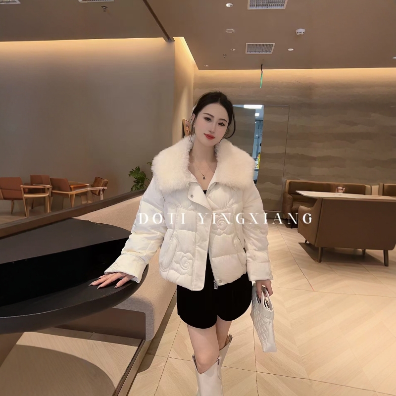 街头记忆面料常规翻领压褶羽绒服