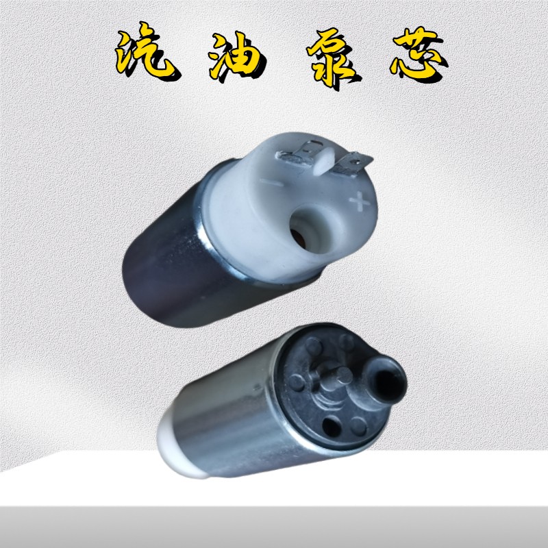 适用隆鑫摩托车300RR/AC/GS-B汽油泵芯无极300-6A/6C/6F燃油泵芯