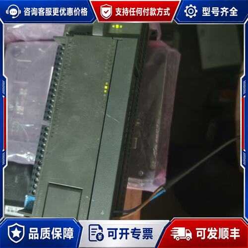 议价西门子S7-200PLC 216-2BD22-0XB0可维修