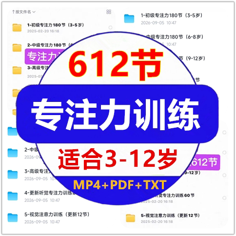 专注力训练612节儿童3-12岁ADHD多动证障碍注意力不集中视频PDF