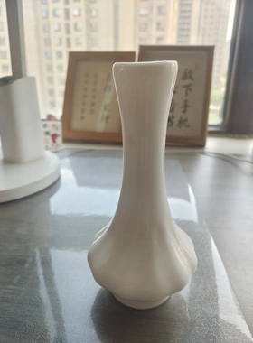 陶瓷花瓶摆件客厅插花水培鲜花干花花器小号花插花器花瓶蒜头花插