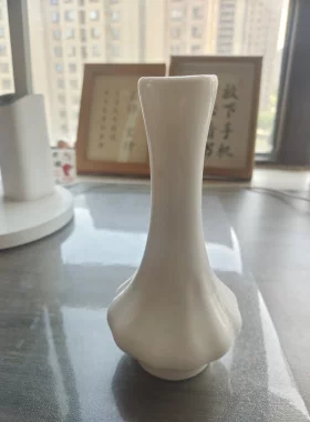 陶瓷花瓶摆件客厅插花水培鲜花干花花器小号花插花器花瓶蒜头花插