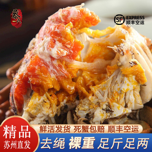 活蟹苏州阳澄周末公母大闸蟹鲜活螃蟹苏州大闸蟹公母混搭精品螃蟹