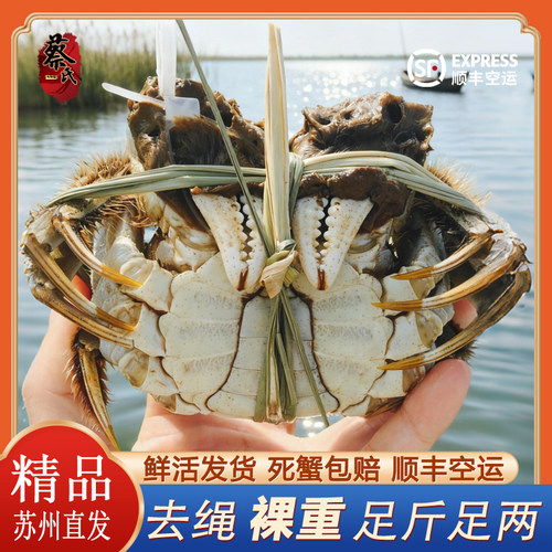 苏州阳澄周末大闸蟹公母鲜活礼盒