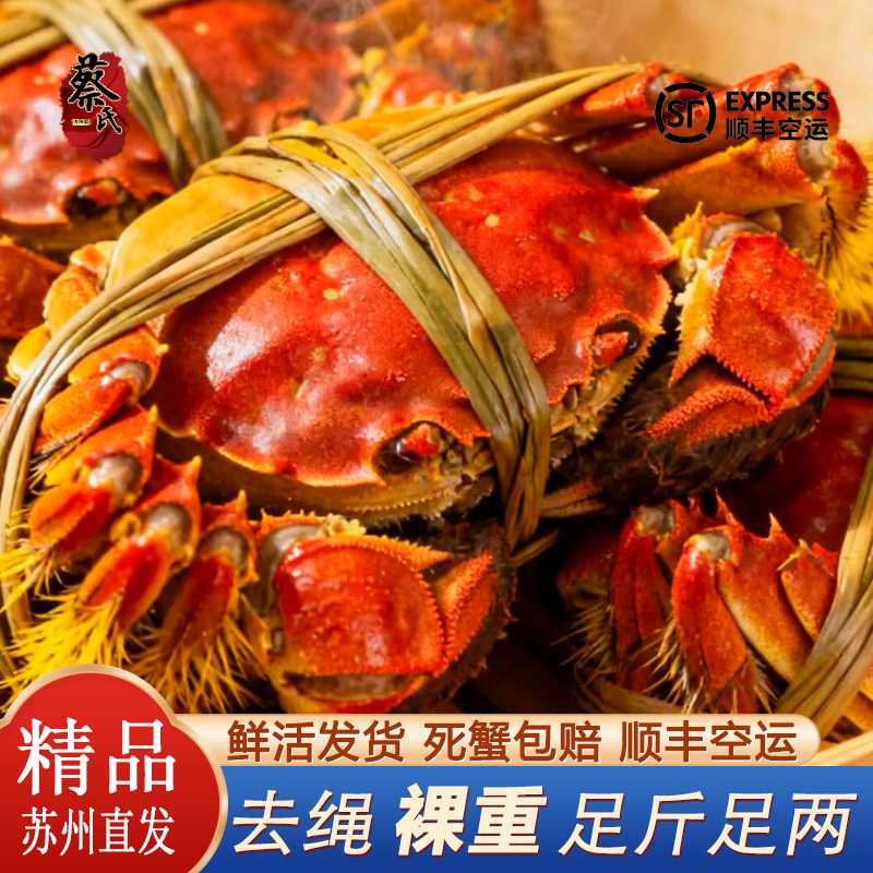 活蟹大螃蟹鲜活现货螃蟹礼盒中秋国庆企业团购送礼水产家庭聚餐