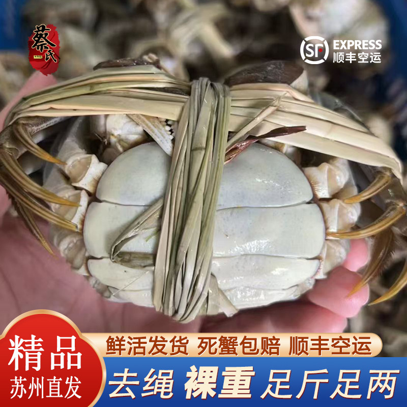活蟹大闸蟹现货大螃蟹公蟹母蟹膏黄饱满礼盒装送礼水产河蟹
