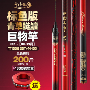 千禧龍驯龙高手K12标鱼版 上新 无铅跑铅拖吊正钓8H19调新品