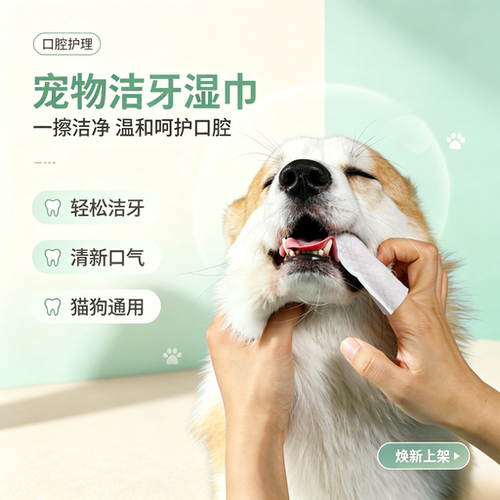 宠物洁齿湿巾50片改善口臭猫狗通用清洁口腔去牙结石温和好用