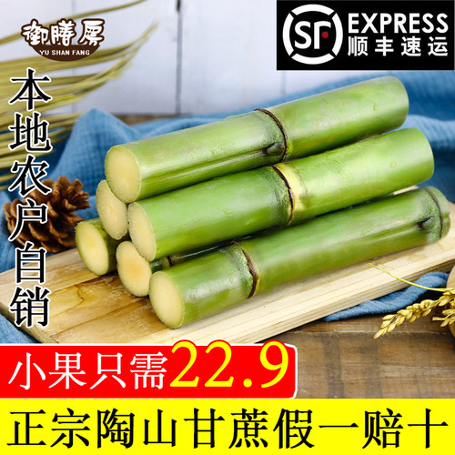 春节年货顺丰陶山甘蔗青皮绿皮果蔗孕妇水果应季礼盒装5斤