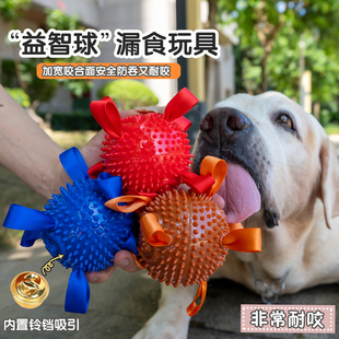 宠物狗玩具铃铛发声刺球橡胶互动耐咬磨牙小中大型犬拉布拉多奖励