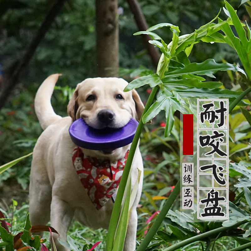 宠物飞盘玩具耐咬飞碟磨牙互动