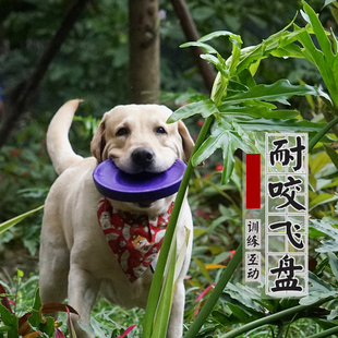 宠物飞盘玩具耐咬飞碟磨牙互动拉布拉多柯基边牧专业训练训狗飞盘