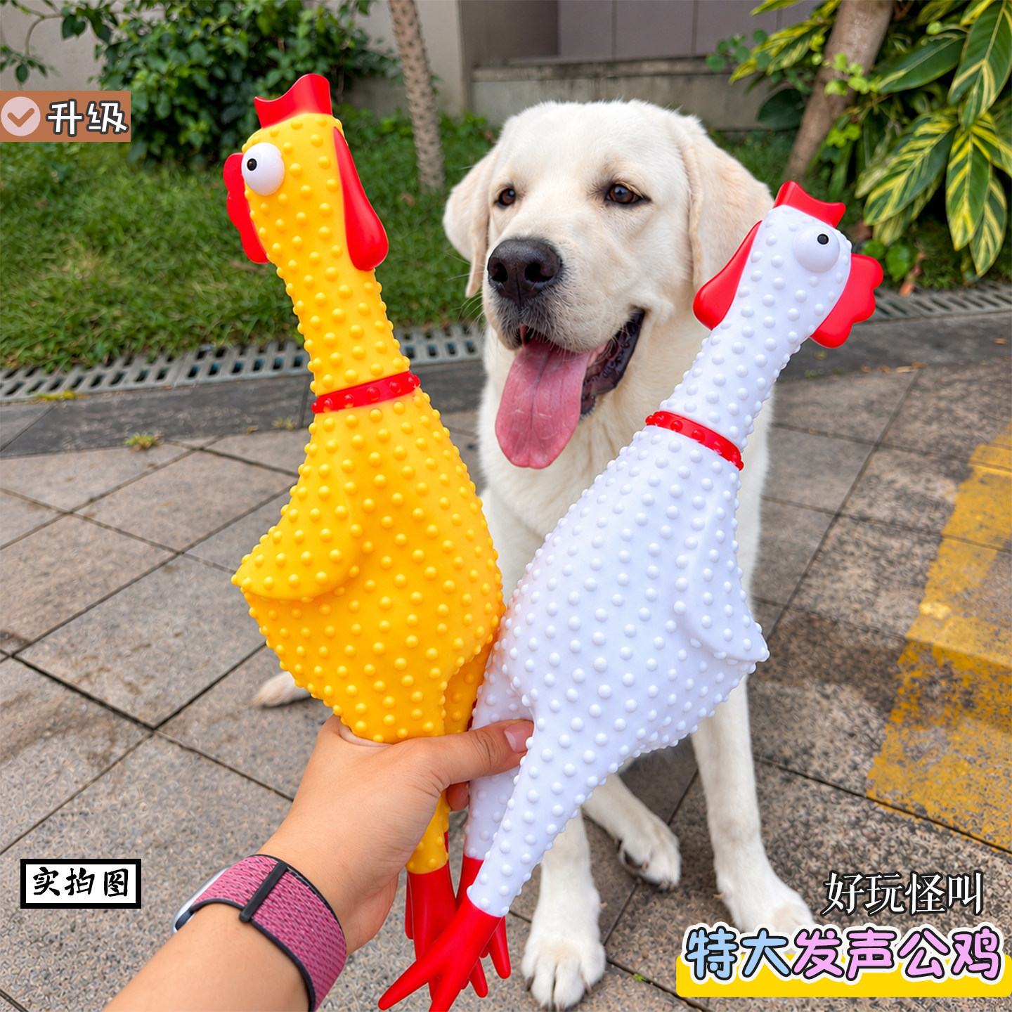 38CM特大号发声尖叫鸡狗狗大玩具宠物洁齿互动磨牙幼犬狗解闷陪伴