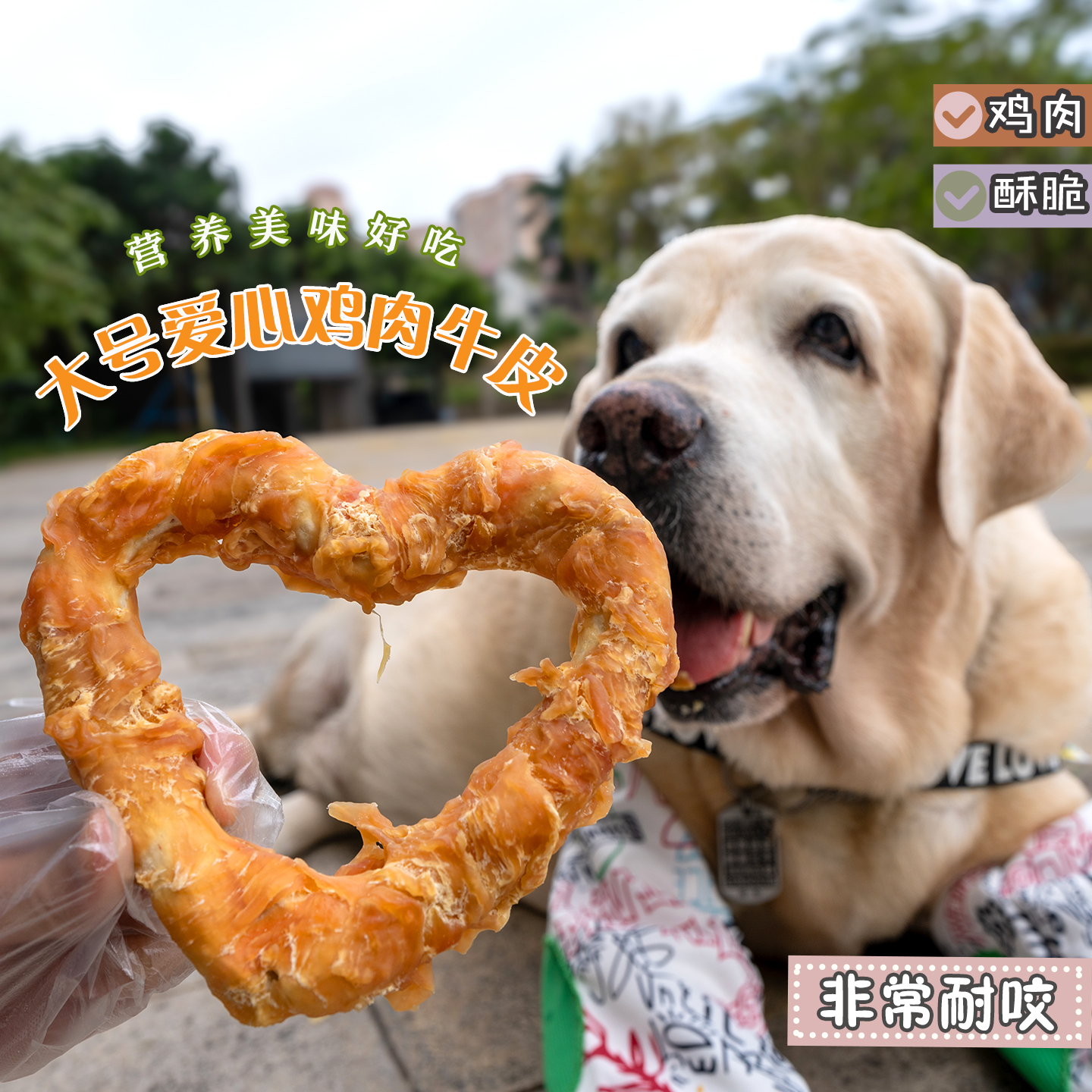 大小型犬通用洁齿鸡肉牛皮狗咬胶