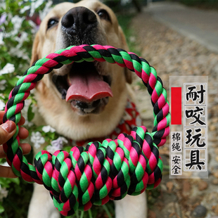 大狗互动耐咬棉绳玩具宠物洁齿磨牙棒金毛萨摩耶幼犬狗狗绳结拉环