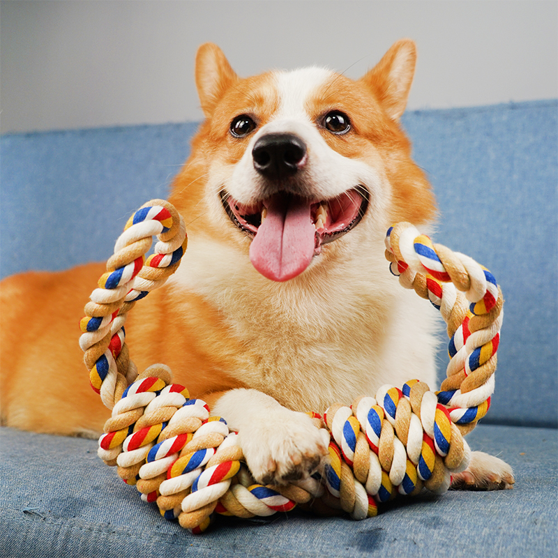 互动耐咬大号小中磨牙棒绳结玩具