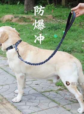 防爆冲不勒手牵引绳拉布拉多金毛中大型犬狗炼 炼 钢扣柔软脖圈可