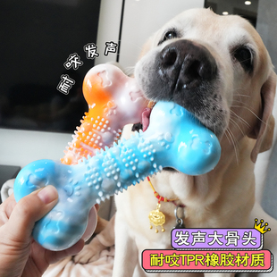 宠物狗玩具发声骨头磨牙洁齿耐咬幼犬小中大型犬金毛拉布拉多用品