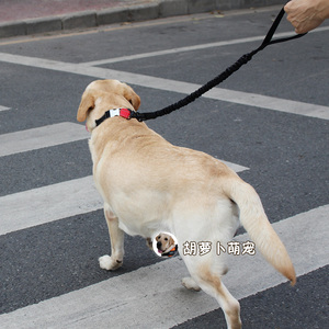 防爆冲不勒手牵引绳拉布拉多金毛中大型犬狗链钢扣柔软脖圈可调节