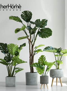 北欧风仿真植物裂口家居客厅假花