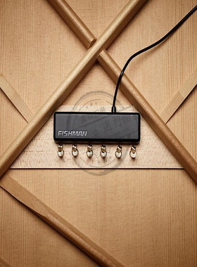 标价9折Fishman渔夫PowerTap Infinity Pickup Wide Format拾音器