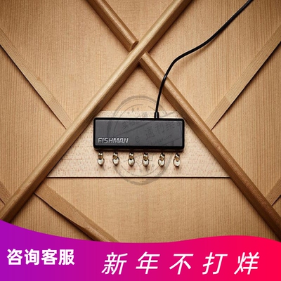 Fishman渔夫WideFormat拾音器