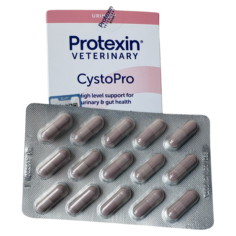 英国CystoPro沙斯多保犬猫通用治疗膀胱尿路细菌 感染 总代授权