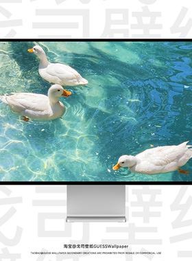 GUESSWP 4张清新小鸭子电脑壁纸平板壁纸手机壁纸超清4K简约可爱