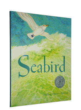 英文原版 Seabird 海鸟 纽伯瑞儿童文学银奖 大开本