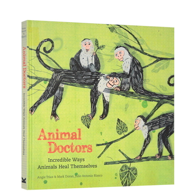 英文原版 Animal Doctors 动物医生 科普与艺术的汇合 精装书 翻翻书 儿童知识性阅读绘本图画书