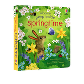 尤斯伯恩幼儿科普绘本 Peep 英文原版 预售 纸板书 Usborne springtime 儿童启蒙纸板机关翻翻书 Inside 偷偷看里面系列