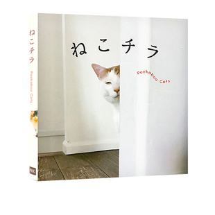 可爱猫猫摄影集 躲藏 ねこチラPeekaboo Cats 现货 绿山墙日文原版 与猫猫捉迷藏