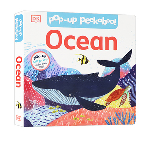 【自营】英文原版 新版 DK Pop-Up Peekaboo! Ocean 海洋 立体翻翻书 精装儿童英语认知启蒙绘本图画书