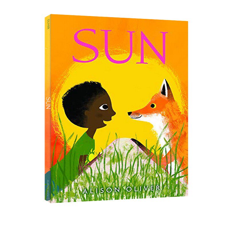 英文原版 sun 太阳 精装 插画家alison oliver 创造力 儿童启蒙学习