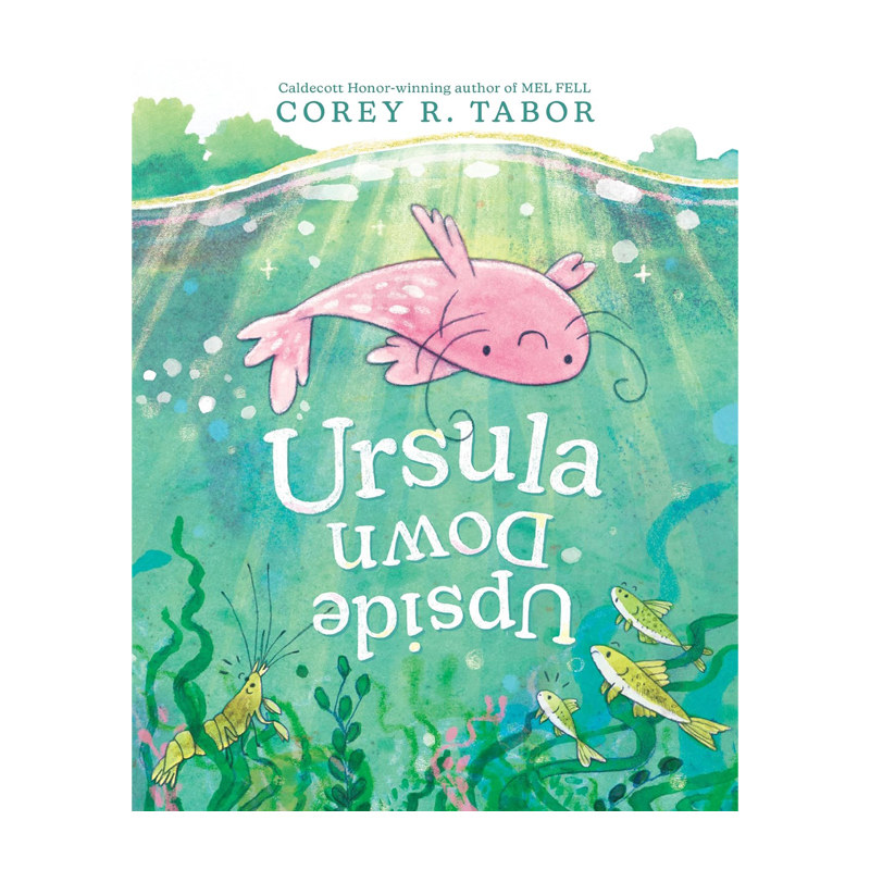 预售 英文原版 快乐的鲶鱼 Ursula Upside Down 精装绘本 动物故事图画书 Corey R. Tabor