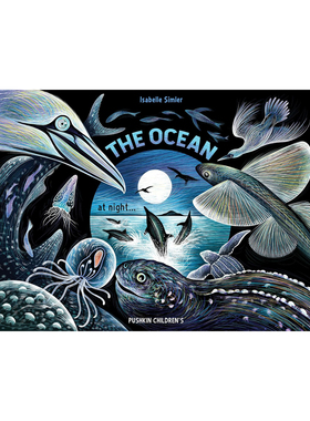 夜晚的大海 The Ocean at Night 3-6岁幼儿海洋科普精装绘本 亲子共读睡前故事书 Pushkin Press出版社 英文原版