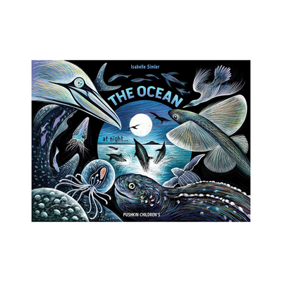 夜晚的大海 The Ocean at Night 3-6岁幼儿海洋科普精装绘本 亲子共读睡前故事书 Pushkin Press出版社 英文原版