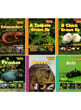 英文原版 Scholastic News Nonfiction Readers Animals 动物6册  非虚构读物 学乐启蒙绘本图画故事书