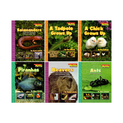 英文原版 Scholastic News Nonfiction Readers Animals 动物6册  非虚构读物 学乐启蒙绘本图画故事书