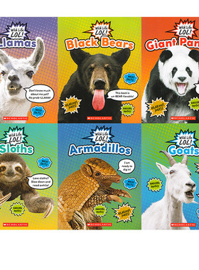 英文原版 Wild Life LOL系列 6册 野生动物 Armadillos/Goats/Sloths/Giant Pandas/Black Bears/Llamas 儿童科普知识绘本