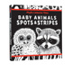 Baby 纸板书 Animals 英文原版 Spots Stripes 动物认知 幼儿早教启蒙图画书