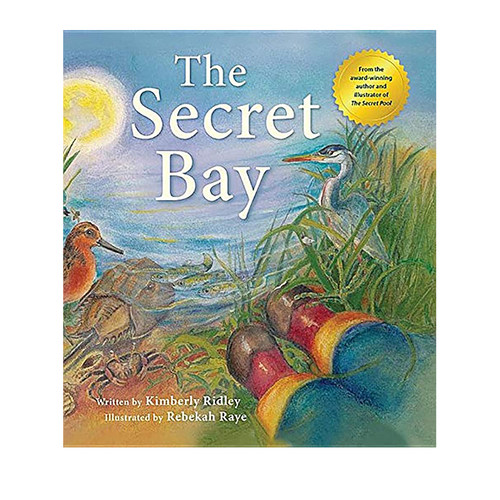 英文原版TheSecretBay